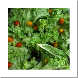 Lettuce and Cherry tomato salad greens. Posters and Art